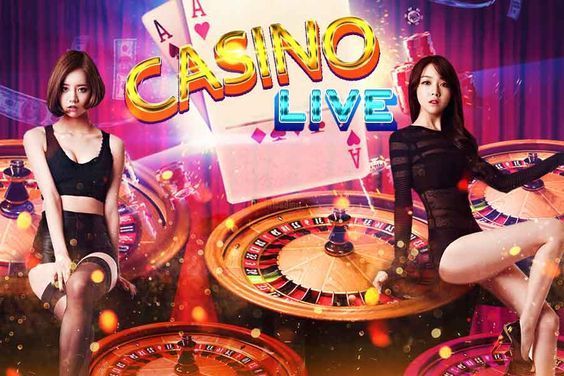 Casino Treasure Live Betting